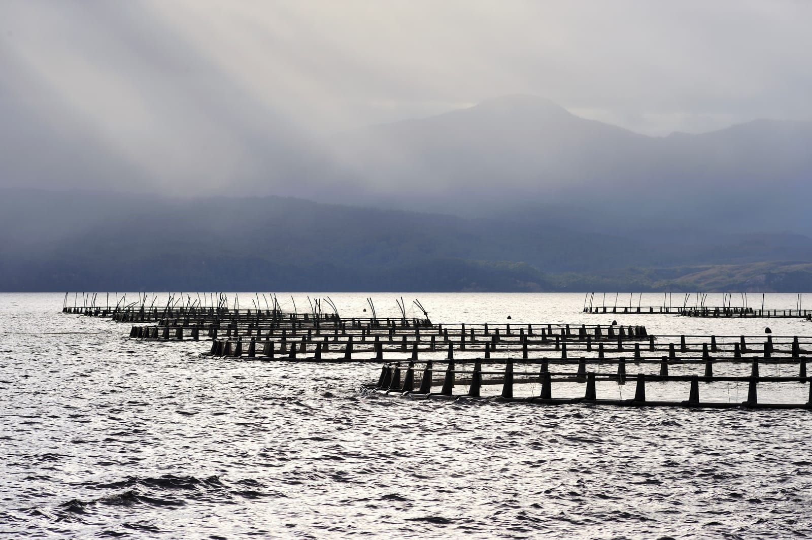 Salmon farm from water surface mountains in the background.