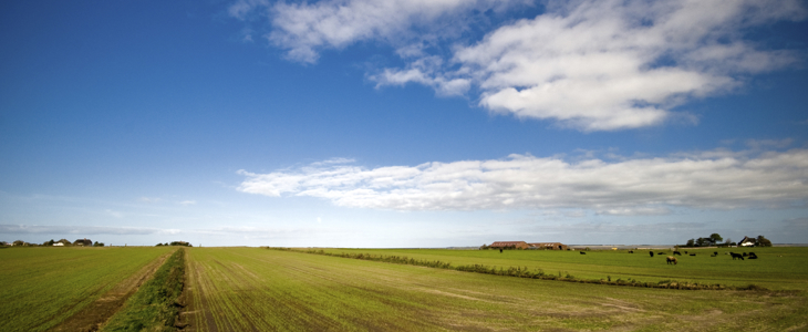 Farm landscape