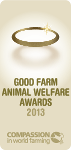 GFAWA 2013 logo