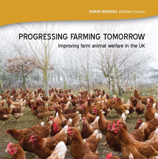 Progressing Farming Tomorrow | Compassion in Food Business