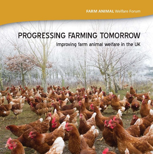 Progressing Farming Tomorrow | Compassion in Food Business Progressing Farming Tomorrow | Compassion in Food Business