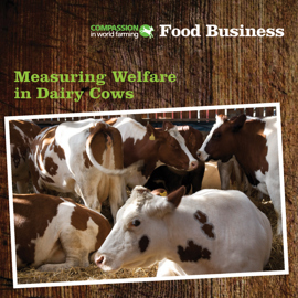 Dairy Welfare Outcomes Booklet Cover Crop