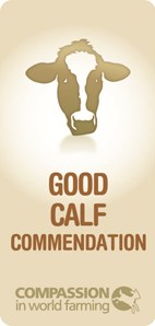 En Good Calf Commendation Non Datedjpg