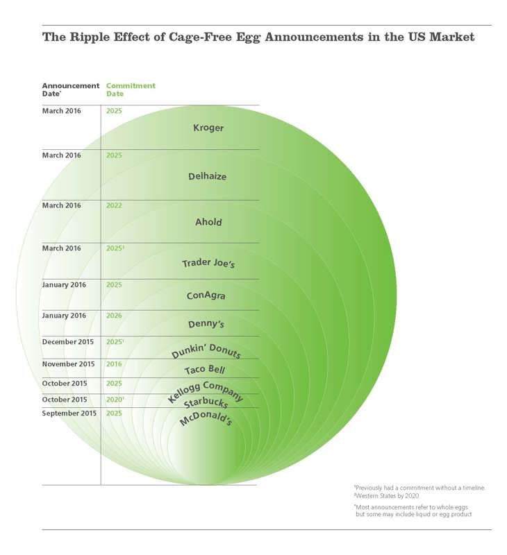 CIWF_Ripple_Effect_Diagram_FINAL.jpg