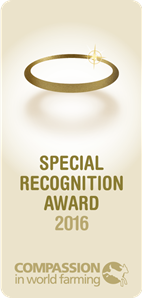 EN_Best Special Recognition Award 2016.png