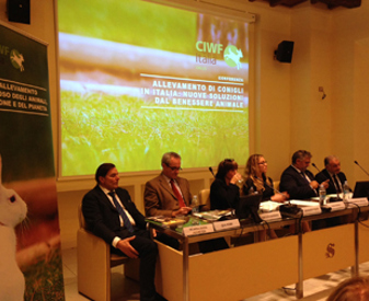 Italian rabbit stakeholder forum small.jpg