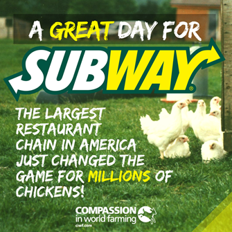 subway chicken