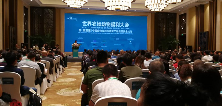 China conference October 2017.jpg