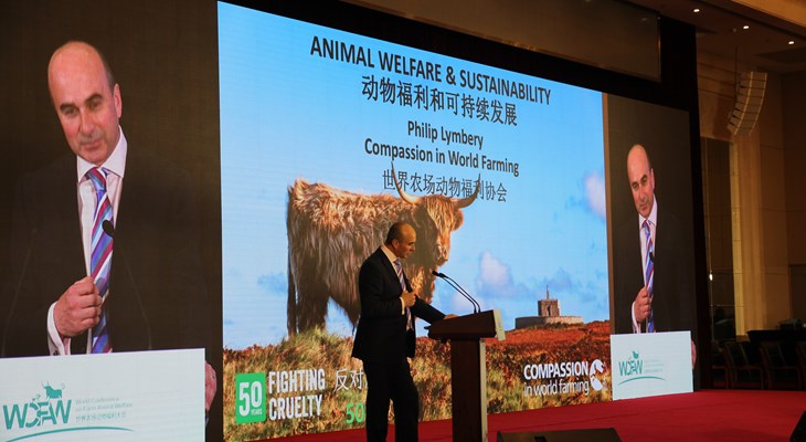China Conference 2018 - Philip giving speech.JPG