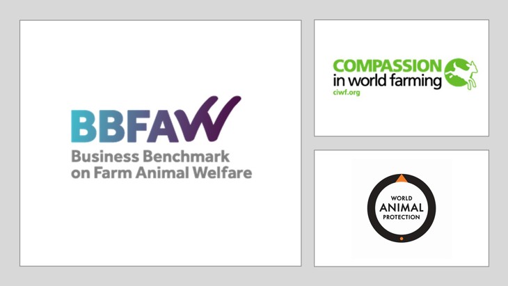 BBFAW Partner Slide