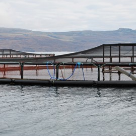 Salmon Cage Shutterstock 475861105