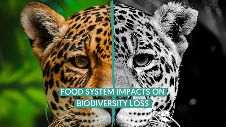 REPORT LAUNCH Food System Impacts on Biodiversity Loss Biology Diagrams