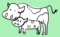 illustration mother and calf standing side by side