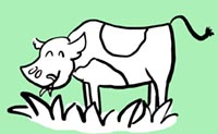 illustration cow eating grass