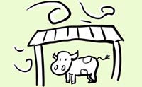 Illustration calf under shelter from weather