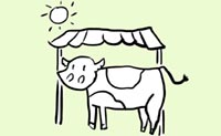 Illustration calf under shelter from sun