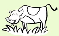 Illustration Calf eating grass