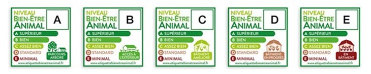 Auchan Image