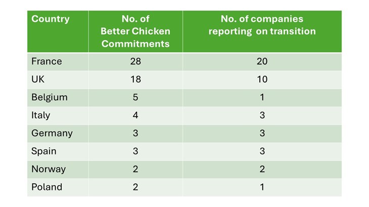 ChickenTrack 2023 commitments and reporting by country