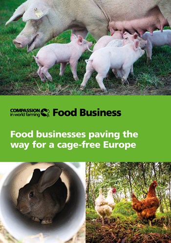 Food Business EU Com Report FC